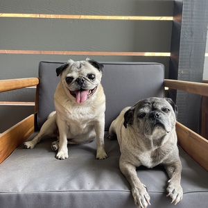 Neeko Freako and Phife Dawg